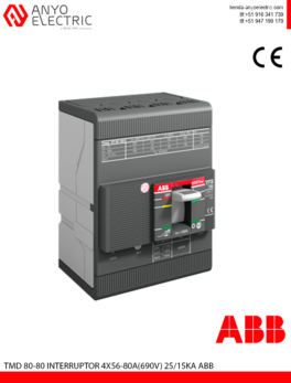 TMD 80-80 ABB ANYOELECTRIC